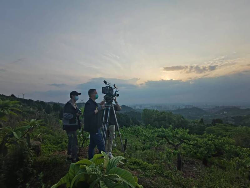 创意破圈！历城区电商产品宣传视频用故事化叙事引爆流量